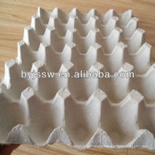 Paper Egg Tray / Egg Carton